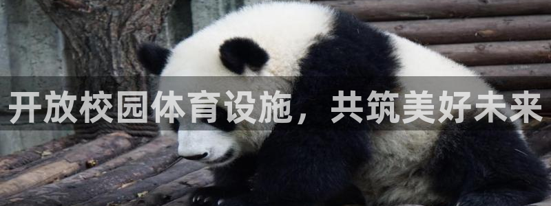 意昂4集团官网网址：开放校园体育设施，共筑美好未来