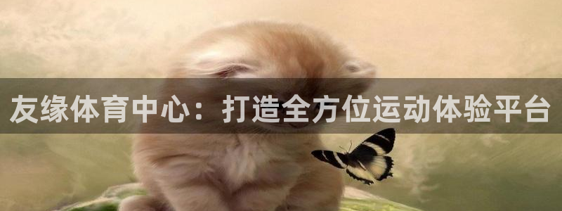 意昂体育4开户：友缘体育中心：打造全方位运动体验平台