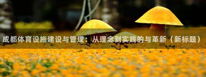 意昂体育4：成都体育设施建设与管理：从理念到实践的与