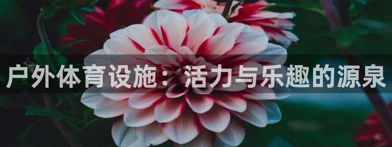 意昂体育4招商电话是多少啊：户外体育设施：活力与乐趣