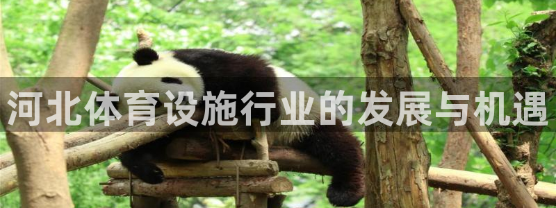 意昂体育4平台假的吗是真的吗：河北体育设施行业的发展