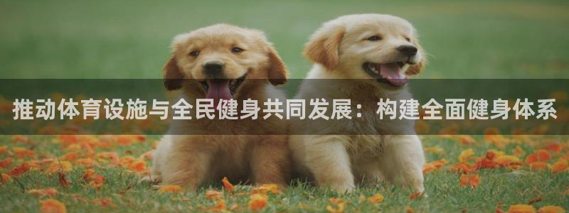 意昂体育4平台注册要钱吗安全吗：推动体育设施与全民健