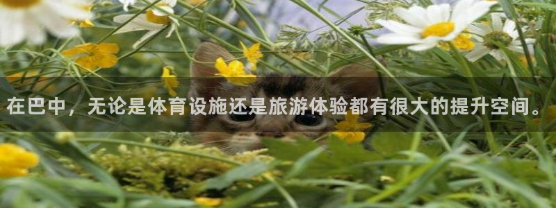 意昂4新能源：在巴中，无论是体育设施还是旅游体验都有