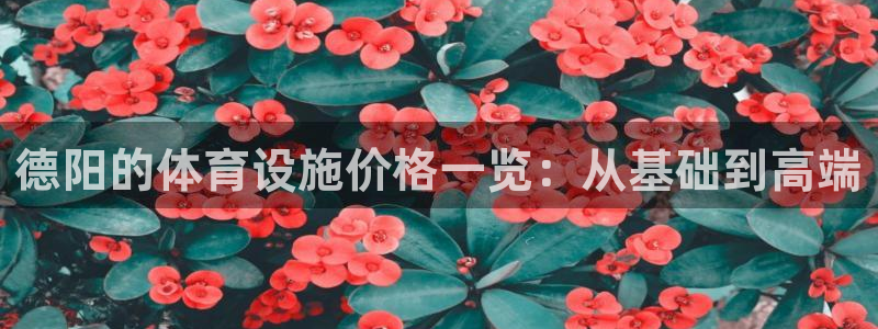 意昂4集团logo：德阳的体育设施价格一览：从基础到