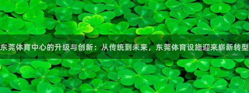 意昂体育4软件：东莞体育中心的升级与创新：从传统到未