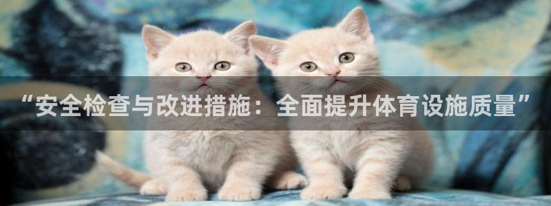 意昂4集团简介：“安全检查与改进措施：全面提升体育设施质量”