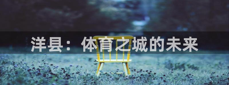 意昂4官方：洋县：体育之城的未来