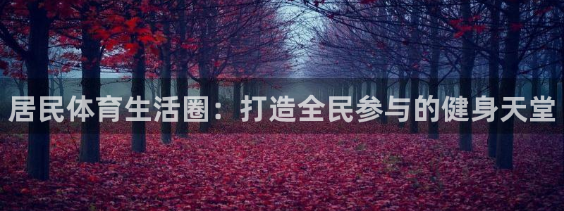 意昂体育4：居民体育生活圈：打造全民参与的健身天堂