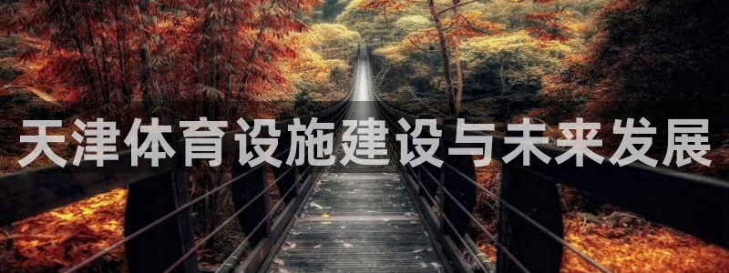 意昂体育4软件：天津体育设施建设与未来发展